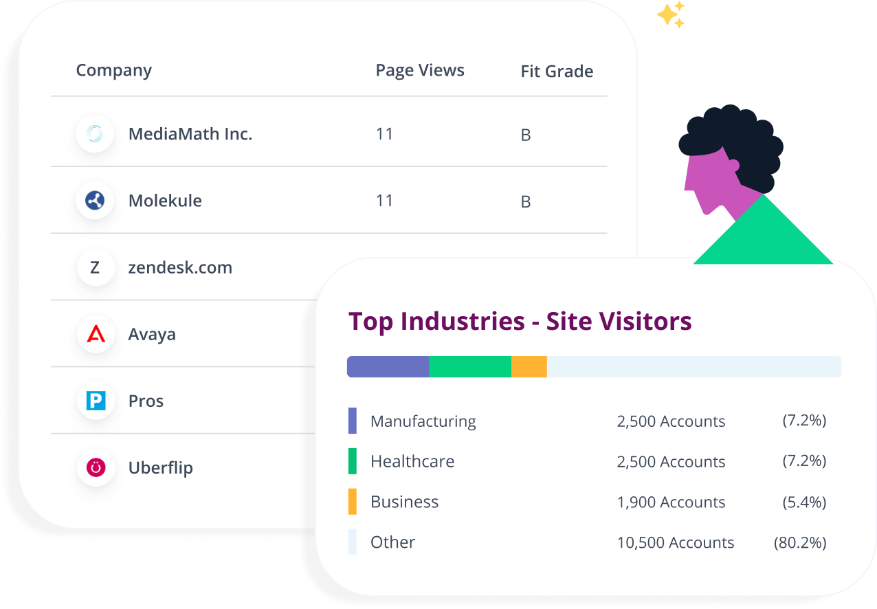 Website Visitor Identification