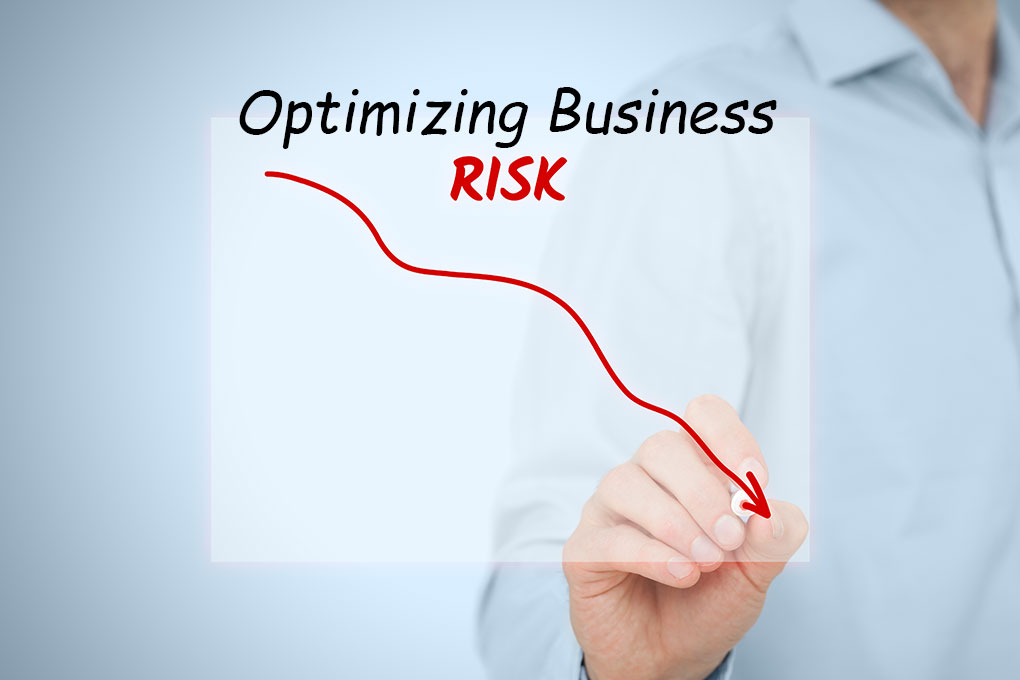 Optimizing Business Risk